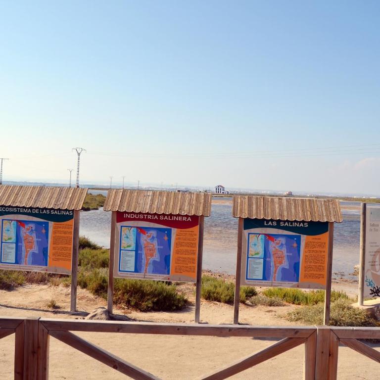 Arenales del Mar Menor - 7808 - Apartamento con vistas al mar - 15