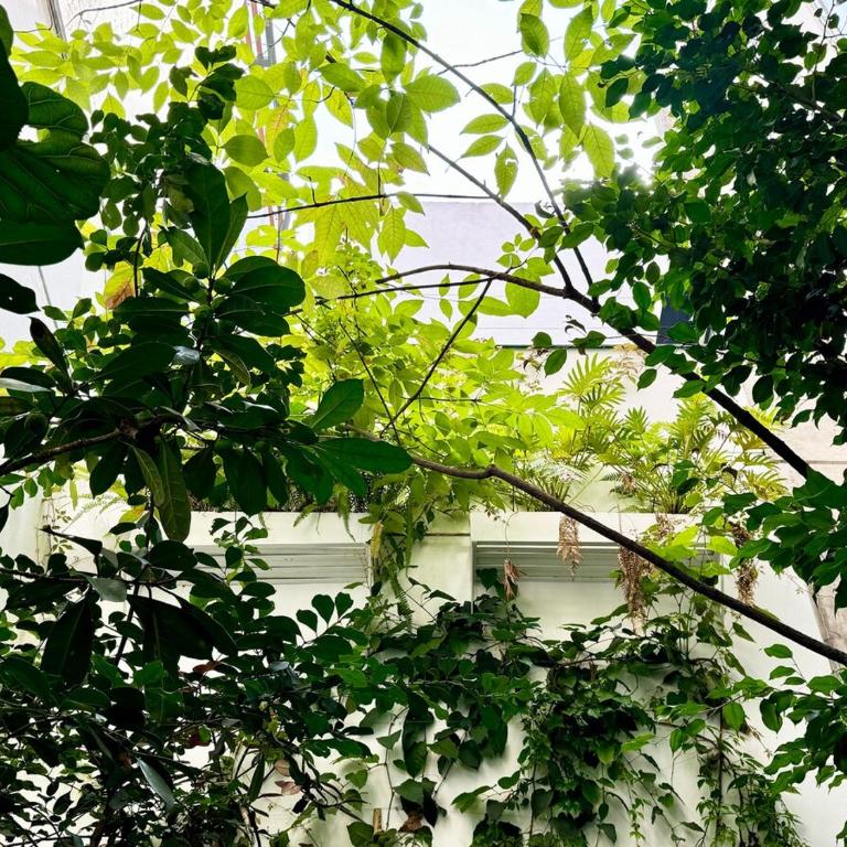 Casa Mariana, stylish, spacious, few blocks from Condesa y Polanco - Apartamento de 2 dormitorios - 10