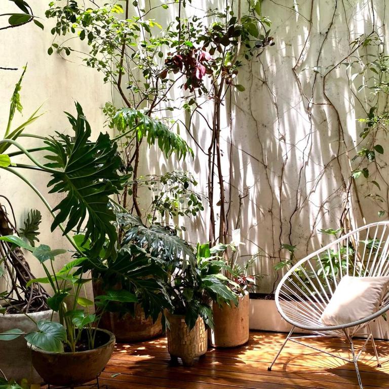 Casa Mariana, stylish, spacious, few blocks from Condesa y Polanco - Apartamento de 2 dormitorios - 13