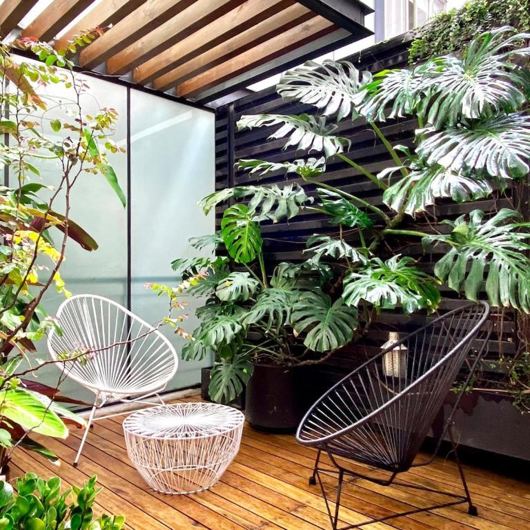 Casa Mariana, stylish, spacious, few blocks from Condesa y Polanco - Apartamento de 2 dormitorios - 32