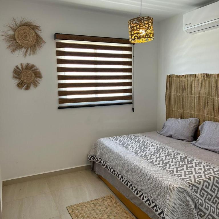 Casa Las Palmas - Three-Bedroom Home - 13