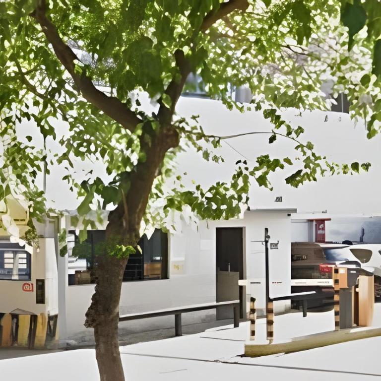 Complejo Belgrano - Standard Apartment - 18