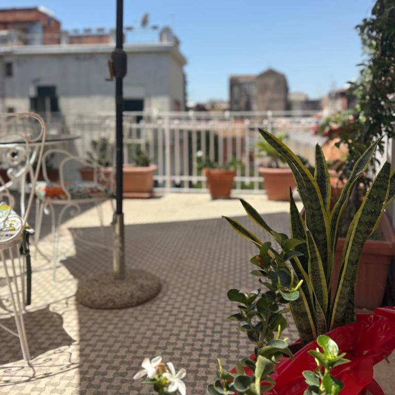 Domus Lavica by Sicily in Home - Quadruple Room with Terrace - 3
