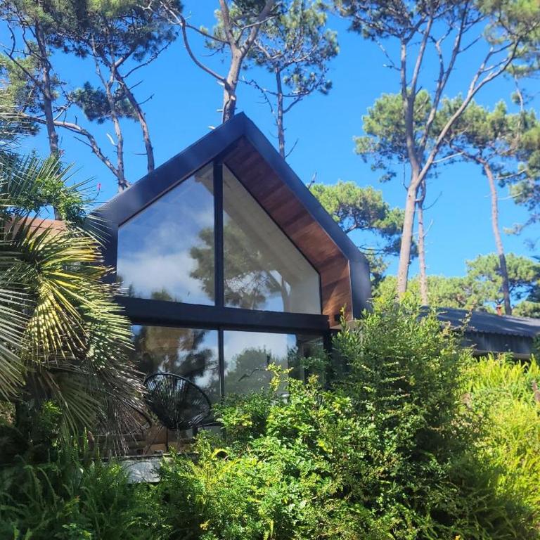 Dream house in San Rafael - Three-Bedroom House - 5