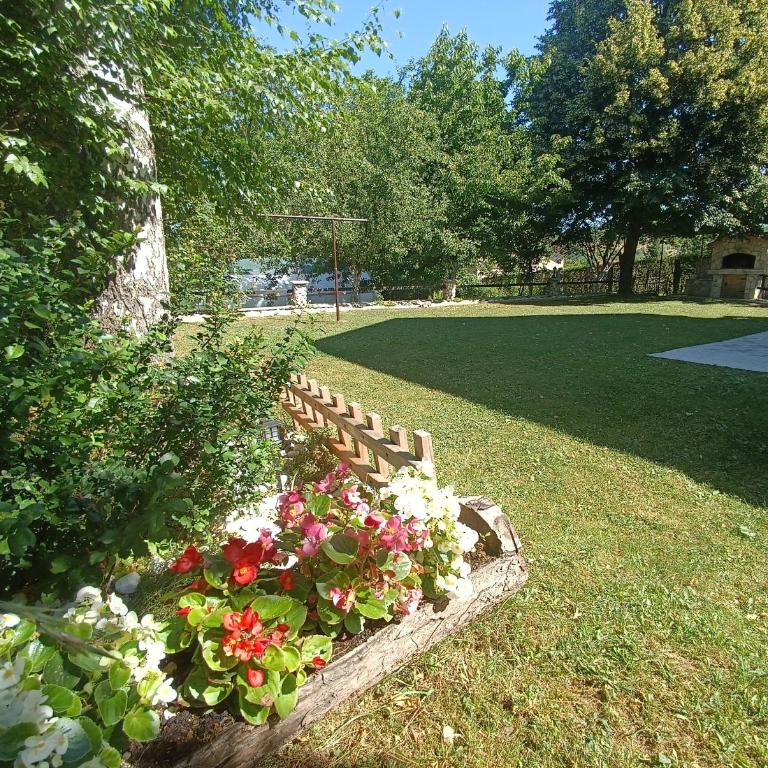 Tranquil Retreat - "Villa Green Oasis" - Vila - 1