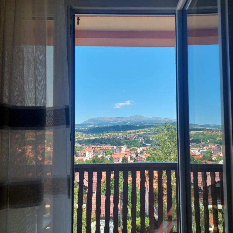 Vila Ramona Sokobanja - Apartman sa 1 Spavaćom Sobom - 4