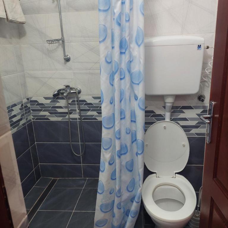 Vila Ramona Sokobanja - Apartman sa 1 Spavaćom Sobom - 13