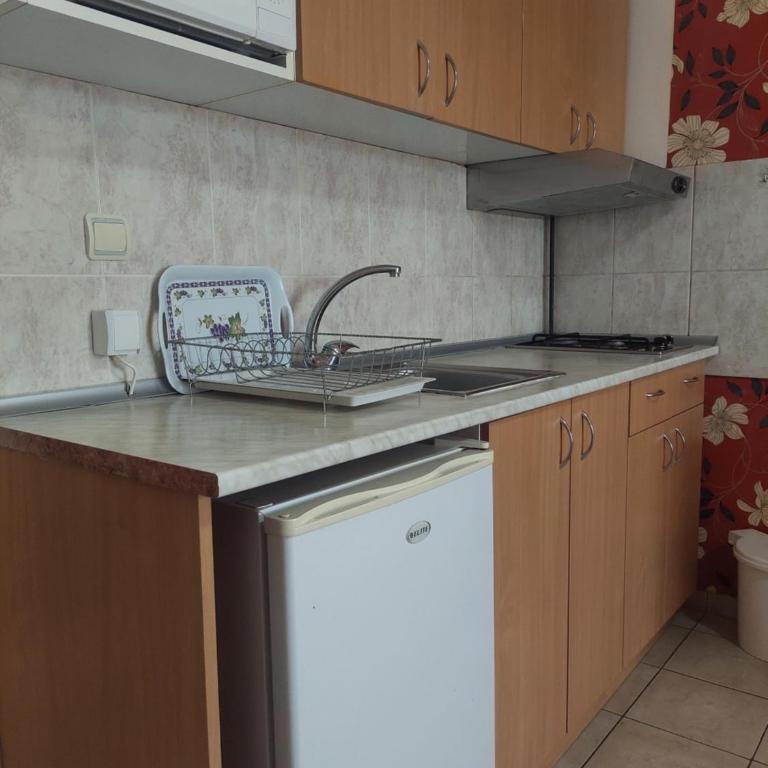 Vila Ramona Sokobanja - Apartman sa 1 Spavaćom Sobom - 12