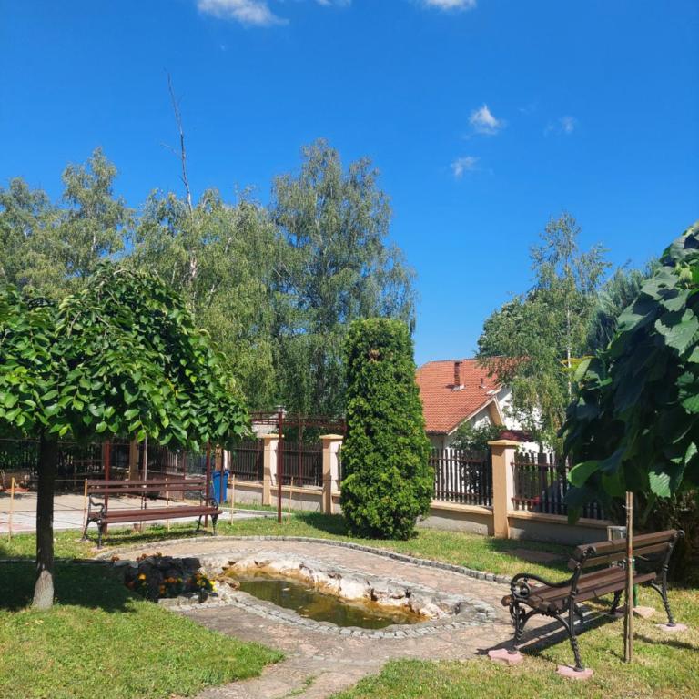 Vila Ramona Sokobanja - Apartman sa 1 Spavaćom Sobom - 5