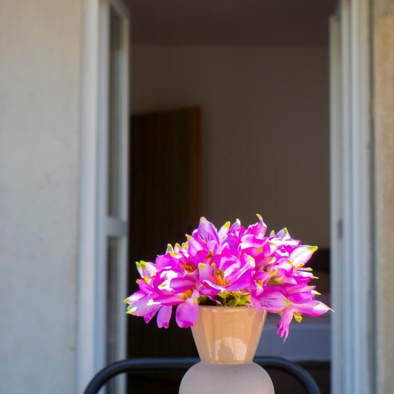 Apartman Rose Trebinje - Apartman sa 1 Spavaćom Sobom - 23