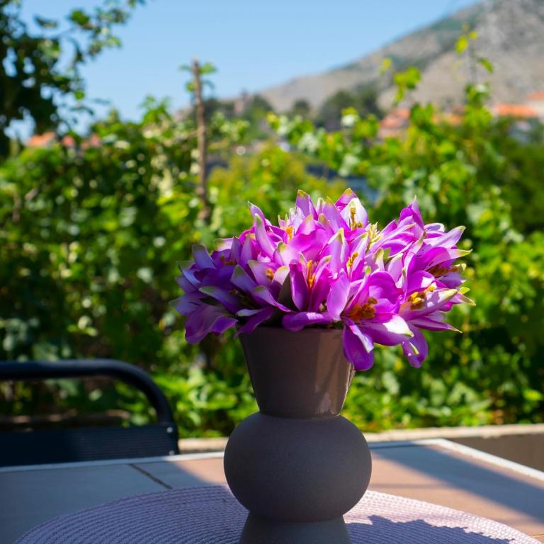 Apartman Rose Trebinje - Apartman sa 1 Spavaćom Sobom - 46