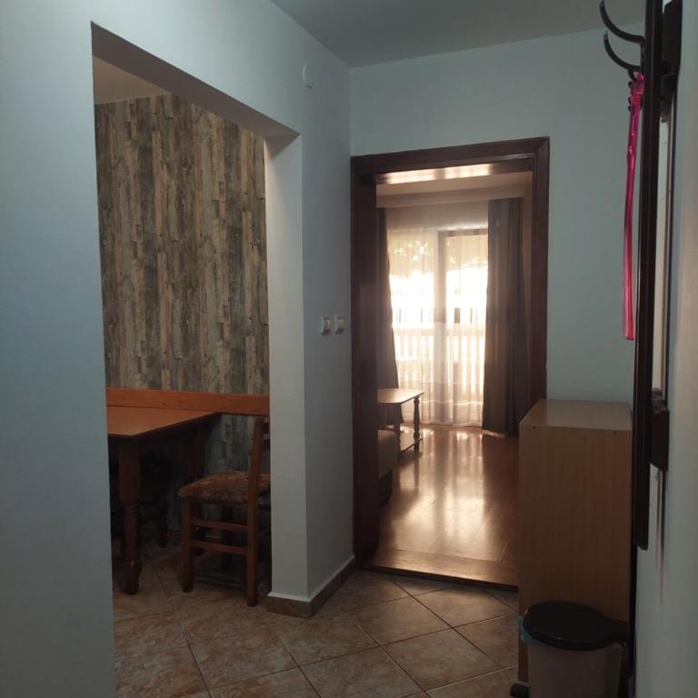 Vila Ramona Sokobanja - Apartman s 1 Spavaćom Sobom i Terasom - 2