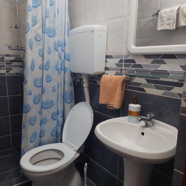 Vila Ramona Sokobanja - Apartman s 1 Spavaćom Sobom i Terasom - 16
