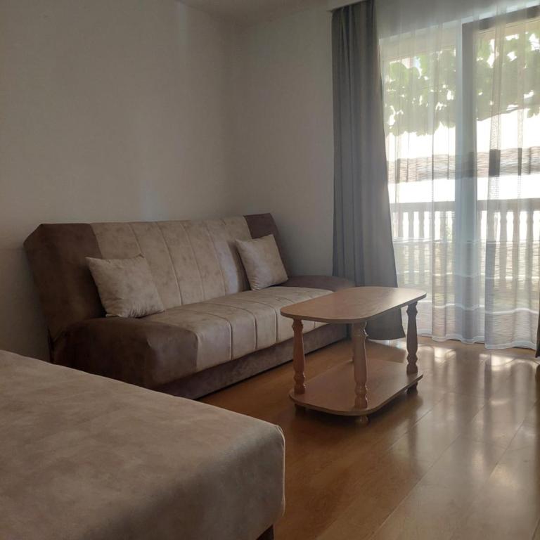 Vila Ramona Sokobanja - Apartman s 1 Spavaćom Sobom i Terasom - 9