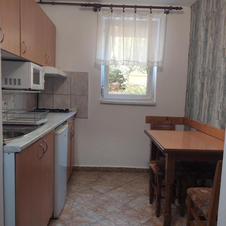 Vila Ramona Sokobanja - Apartman s 1 Spavaćom Sobom i Terasom - 7