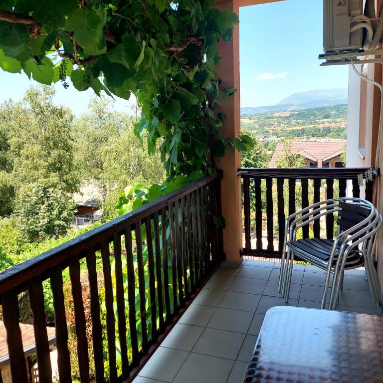 Vila Ramona Sokobanja - Apartman s 1 Spavaćom Sobom i Terasom - 15