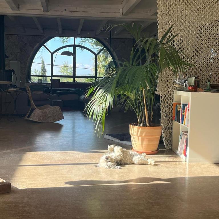 Proche mer loft de rêve dans Chai du XIX - Villa con Piscina Privata - 28