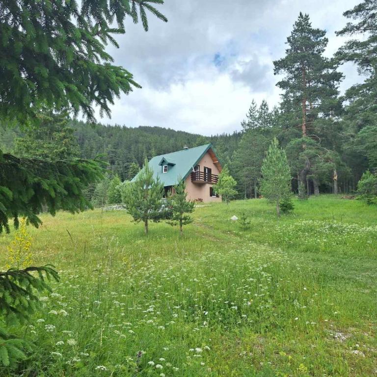 Wild Peace - Five-Bedroom House - 17