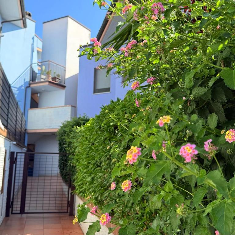 S355 - Sirolo, ampio trilocale con terrazzo e posto auto - Two-Bedroom Apartment - 23