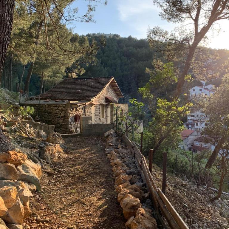 Atypical forest house with jacuzzi - Maison 1 Chambre - 4