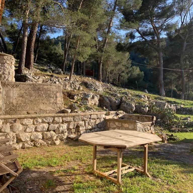 Atypical forest house with jacuzzi - Maison 1 Chambre - 5