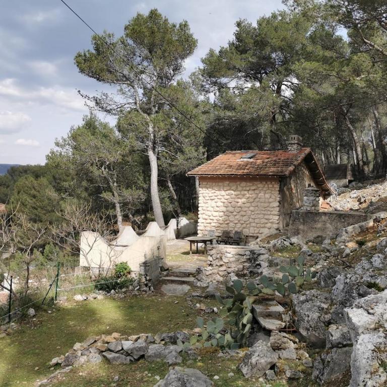 Atypical forest house with jacuzzi - Maison 1 Chambre - 11