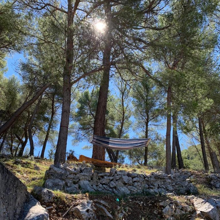 Atypical forest house with jacuzzi - Maison 1 Chambre - 24