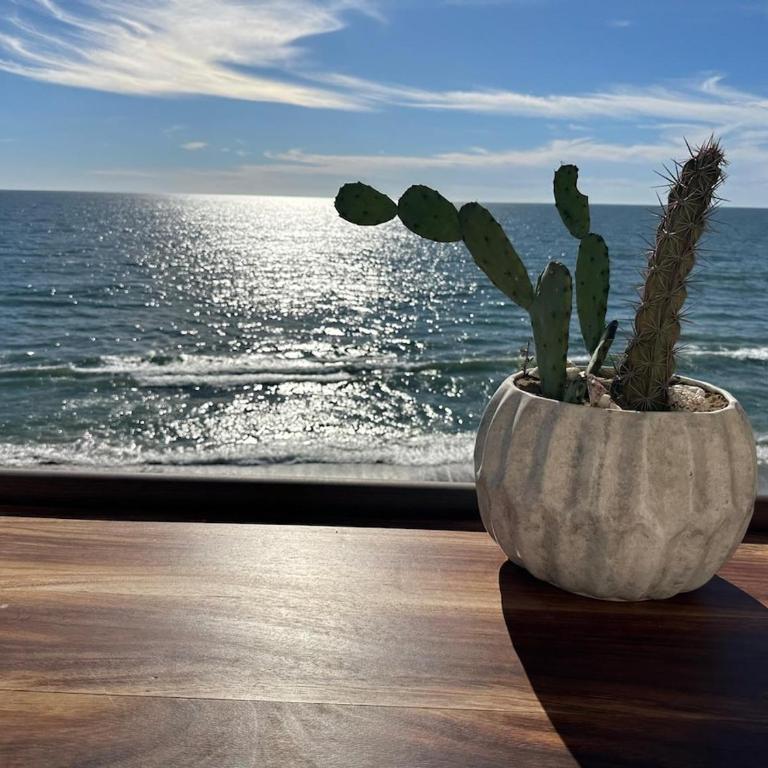 New beachfront apartment! - Two-Bedroom Apartment - 17
