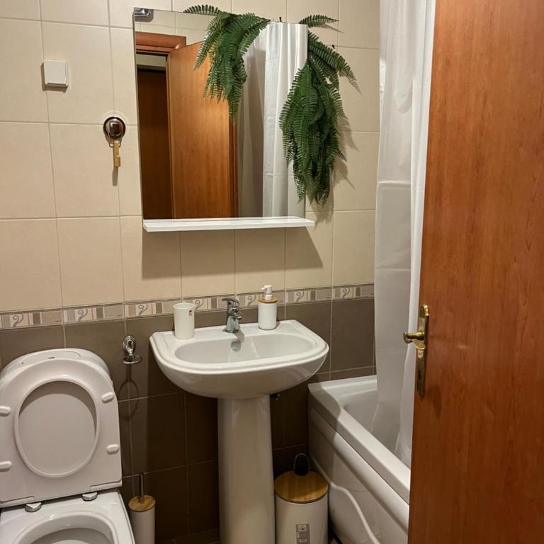 Apartman Kutak - Apartman sa 1 Spavaćom Sobom - 10