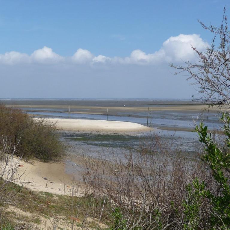 Classé 3 étoiles à 200m du Bassin d Arcachon avec 2 VTT à disposition - Appartamento con 1 Camera da Letto - 7