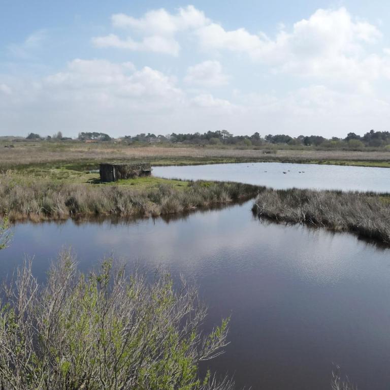 Classé 3 étoiles à 200m du Bassin d Arcachon avec 2 VTT à disposition - Appartamento con 1 Camera da Letto - 9