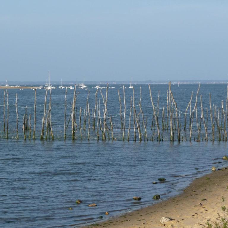 Classé 3 étoiles à 200m du Bassin d Arcachon avec 2 VTT à disposition - Appartamento con 1 Camera da Letto - 13