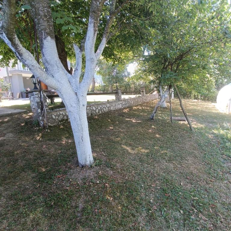 Tranquil Retreat - "Villa Green Oasis" - Vila - 9