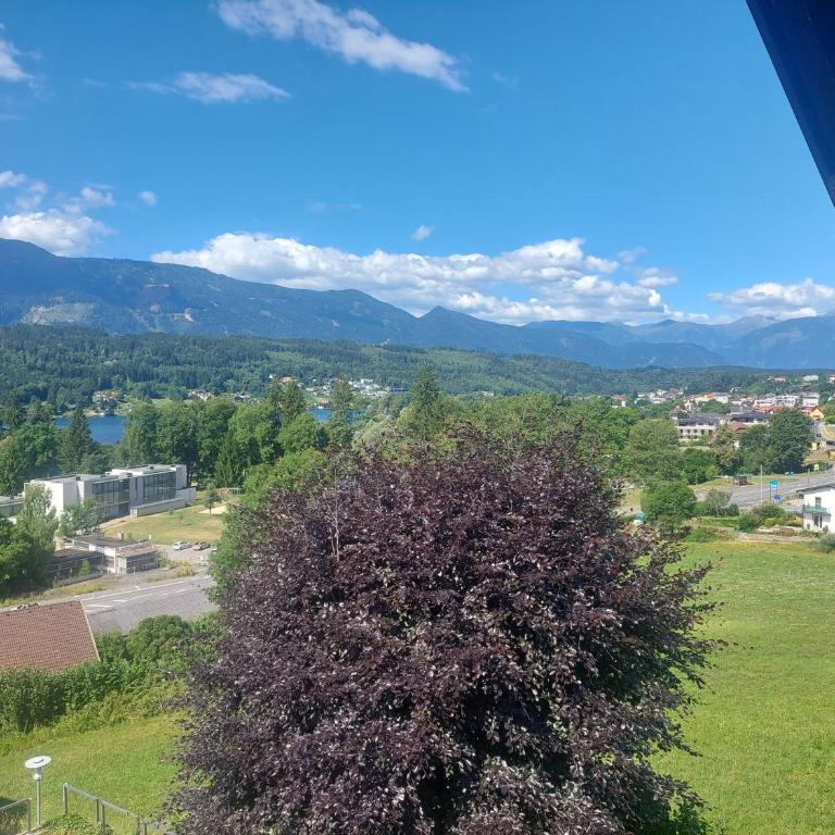 Ferienwohnung Amselnest - Apartamento de 1 dormitorio - 21
