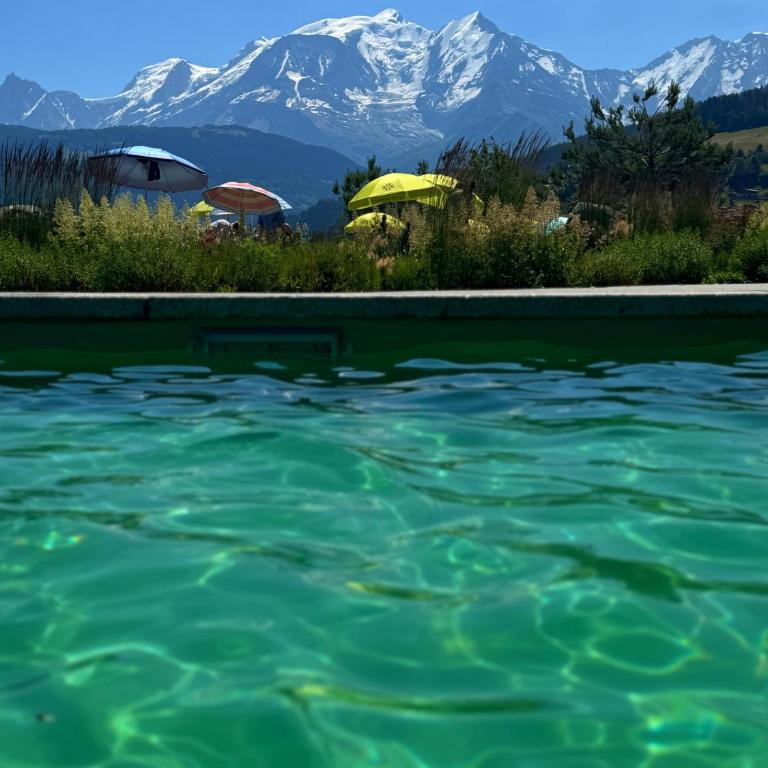 Chalet Taïga face au Montblanc et à 7min de Megève - Chalet 3 Chambres - 29