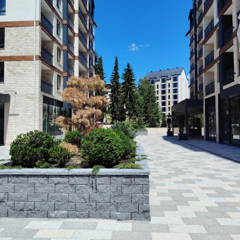 New Apartment Moderna SPA&FUN Zlatibor Centar - Apartment - 53