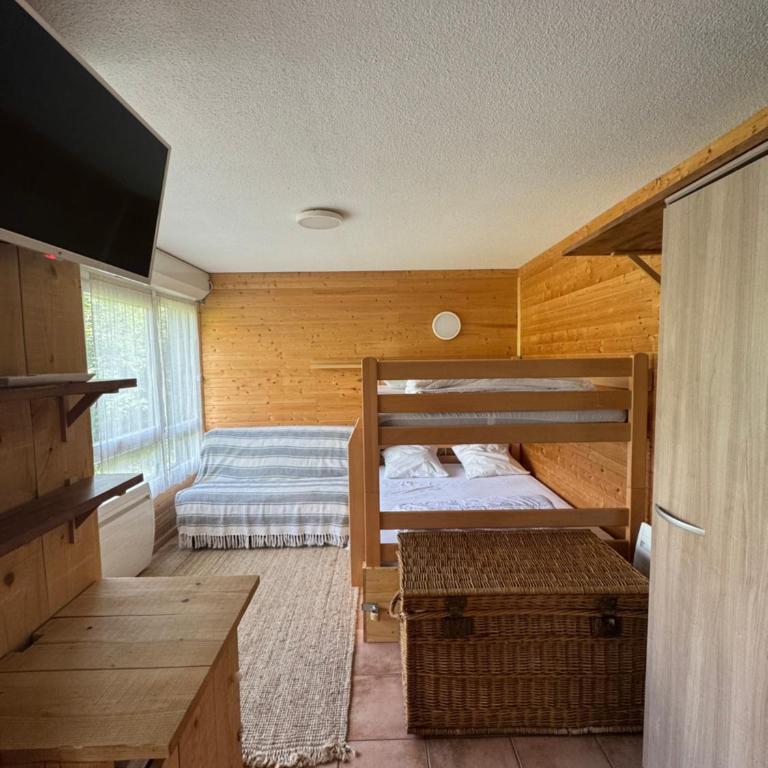Studio station Puy-Saint-Vincent - Monolocale con Vista Montagna - 10
