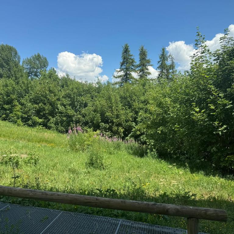 Studio station Puy-Saint-Vincent - Monolocale con Vista Montagna - 16