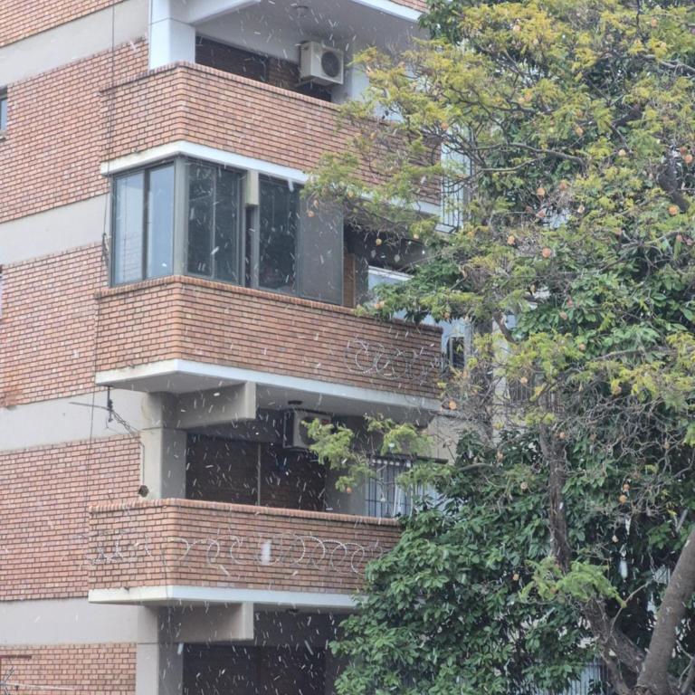Dos22 Apartment - Apartamento de 1 dormitorio - 5