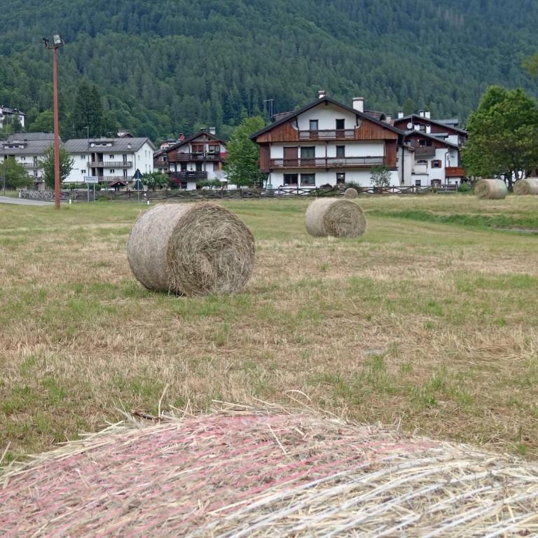 Casa Damari - Appartamento con 3 Camere da Letto e Vista Montagna - 21