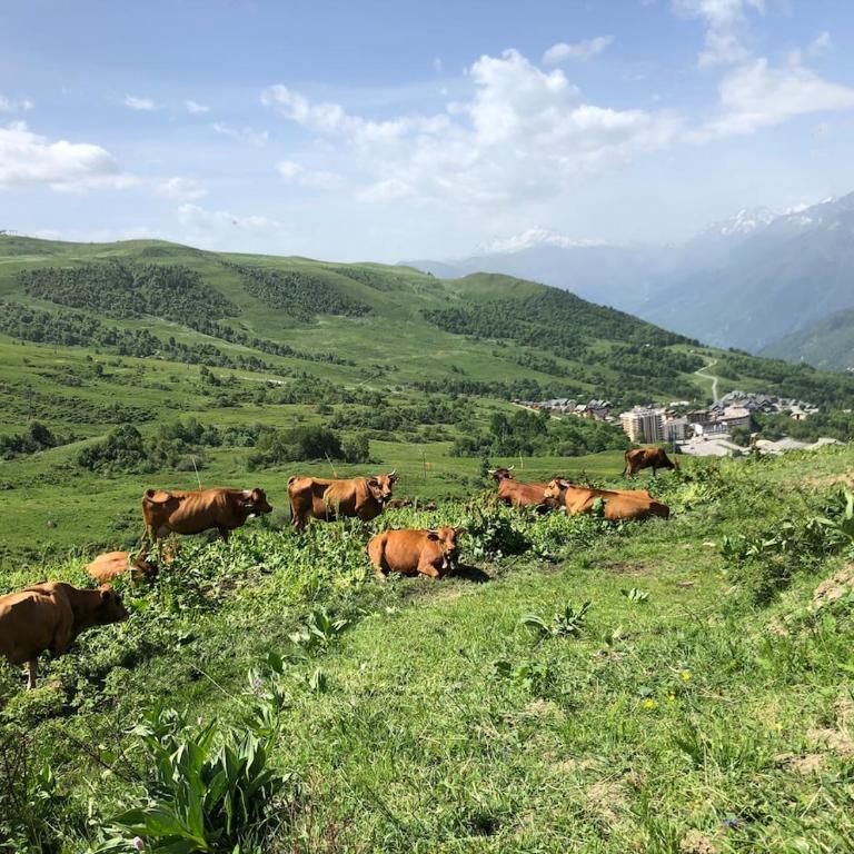 Appartement 4 ou 6 pers vue montagne - Appartement 3 Chambres - 9
