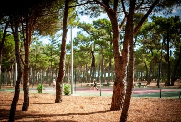 Villa Carmen à 2 pas de la plage & des commerces - Appartamento con 1 Camera da Letto - 35