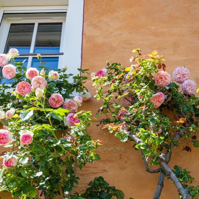 Chez Fanny - Haus mit 3 Schlafzimmern - 3