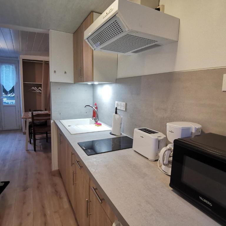 studio avec local vélos skis et buanderie - Appartement 1 Chambre - 9