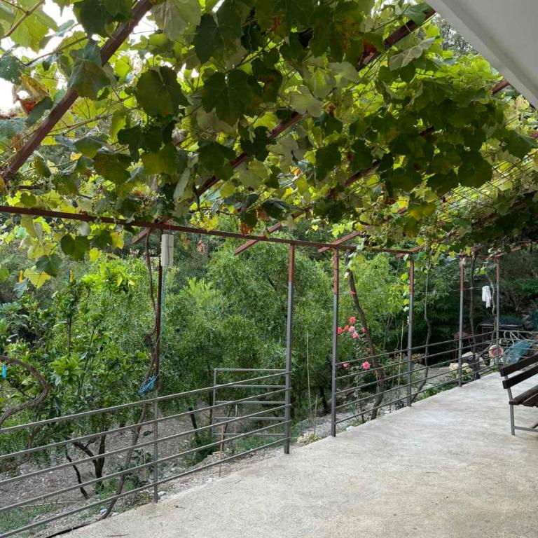 Apartman Pod lozom - Apartman sa 1 Spavaćom Sobom - 11