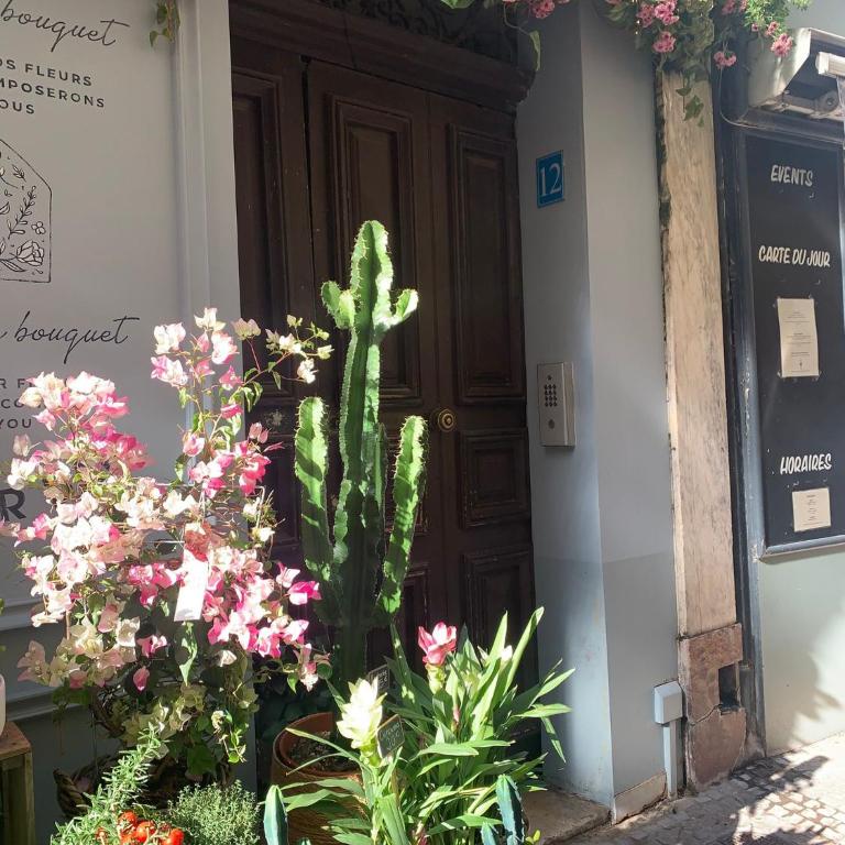 Charme & Authenticité 3P Vielle Ville Antibes - Appartement Standard 2 Chambres - 5
