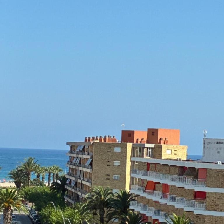 Apartment in La Pineda- Dorabeach - One-Bedroom Apartment - 14