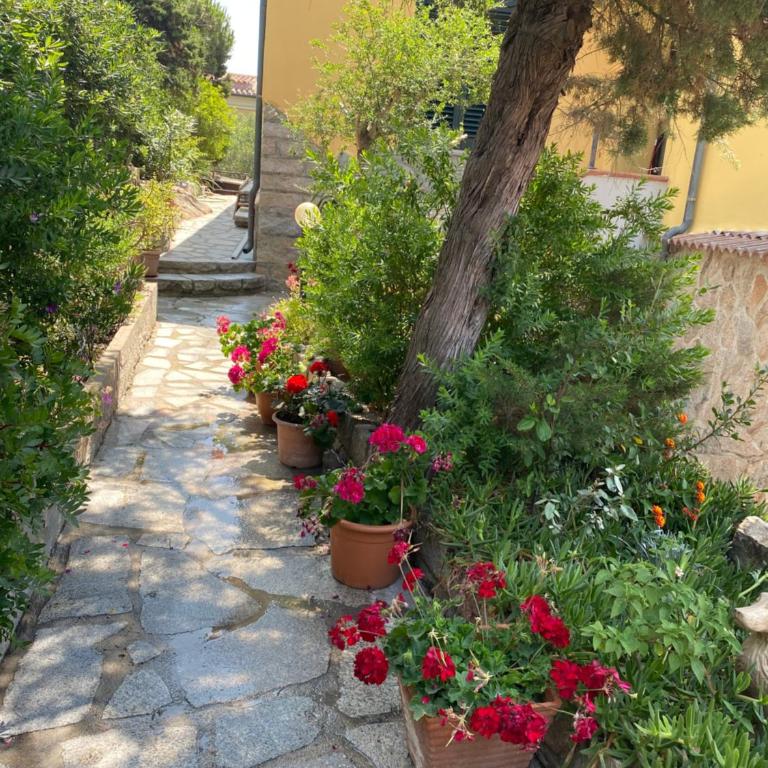 Casa per vacanze Anna - Appartamento - 32