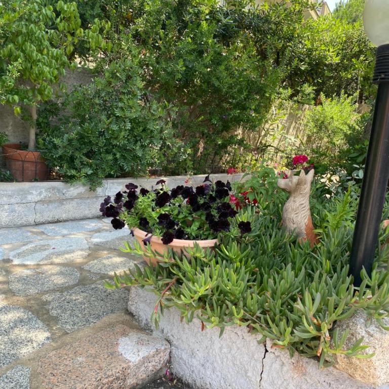 Casa per vacanze Anna - Appartamento - 35
