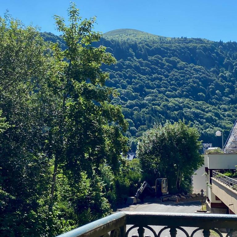 Appartement T2 Les Capucines avec balcon et wifi proche de l'hyper centre Mont Dore - Two-Bedroom Apartment - 18